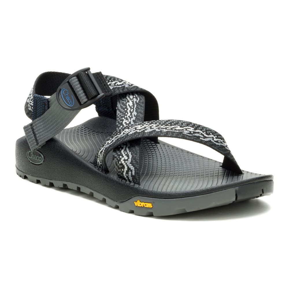 Chaco Men&