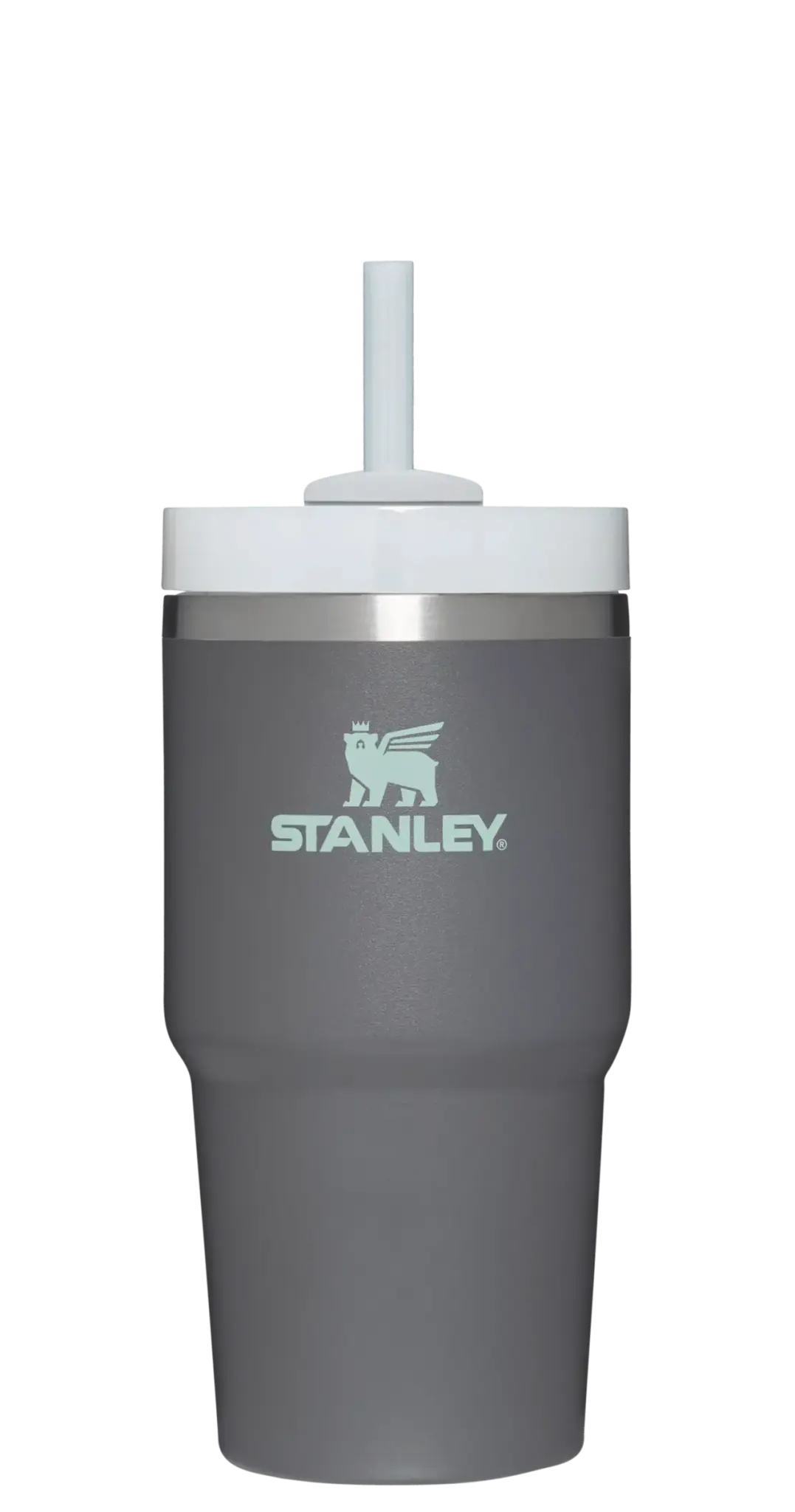 Stanley Quencher H2.0 Flowstate™ TUMBLER | 20 OZ