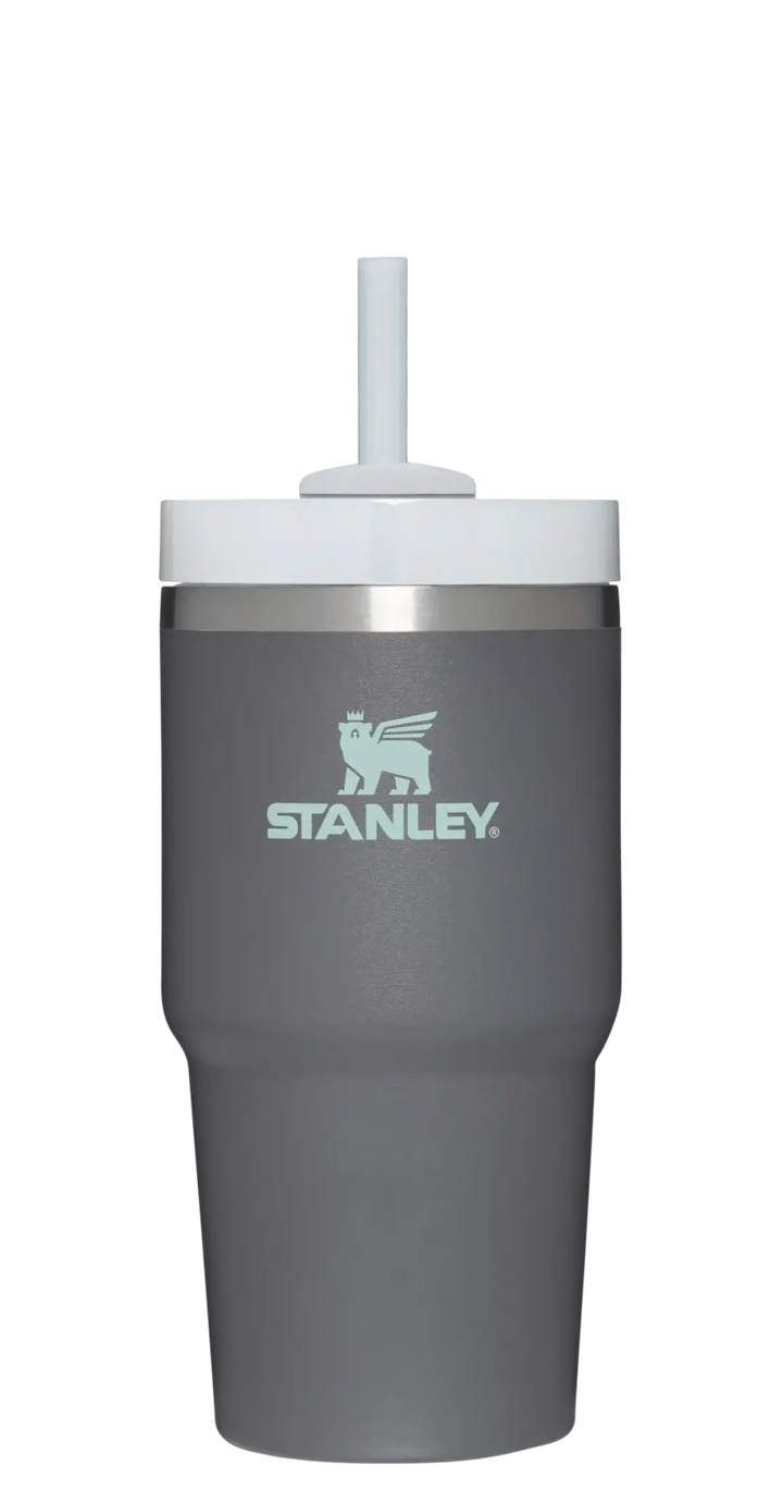 Stanley Quencher H2.0 Flowstate™ TUMBLER | 20 OZ