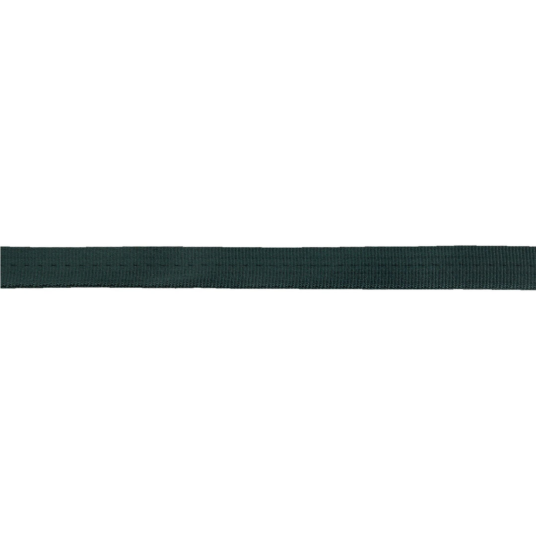 Sterling Tubular Webbing 11/16"