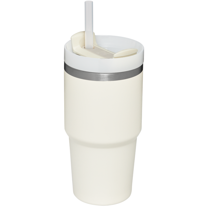Stanley Quencher H2.0 Flowstate™ TUMBLER | 20 OZ
