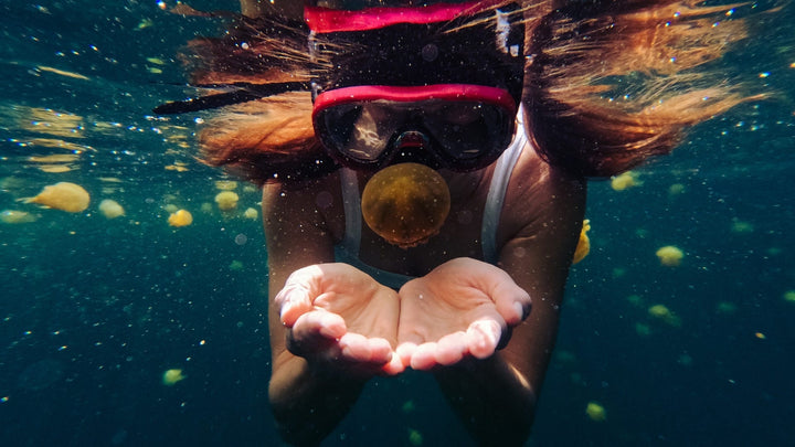 GoPro HERO