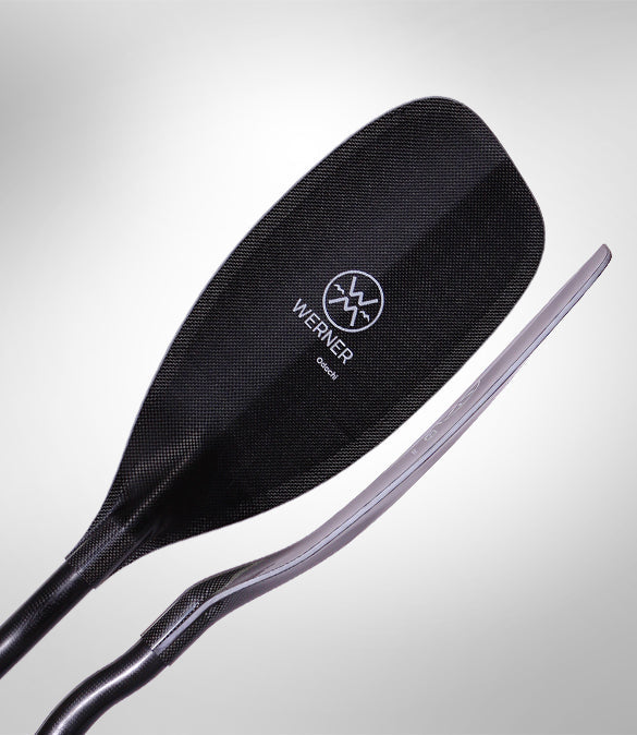 Werner Odachi Paddle
