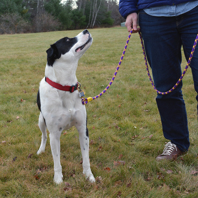 Sterling Dog Leash