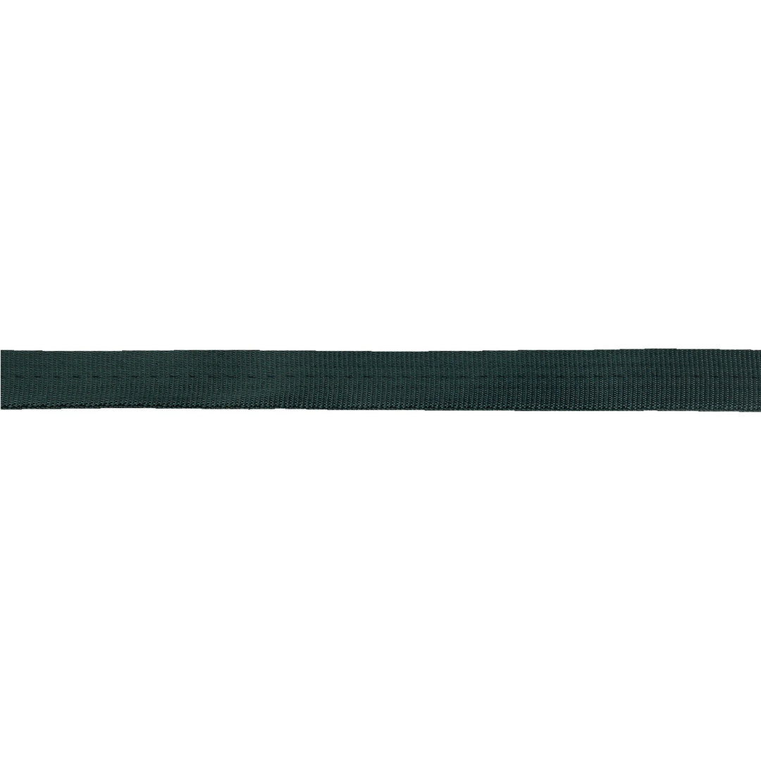 Sterling Tubular Webbing 11/16"